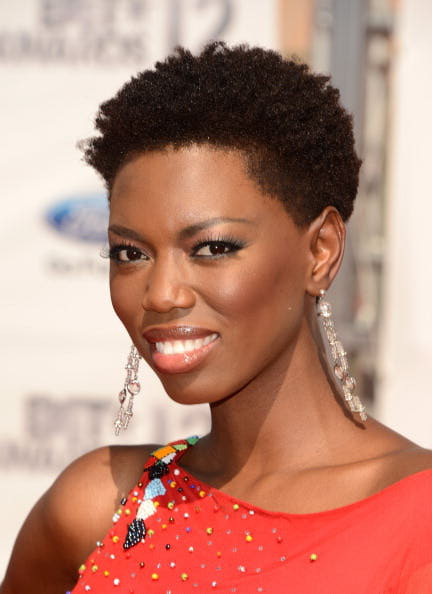 Hairstyle With Natural Hair
 Short Natural Hairstyles