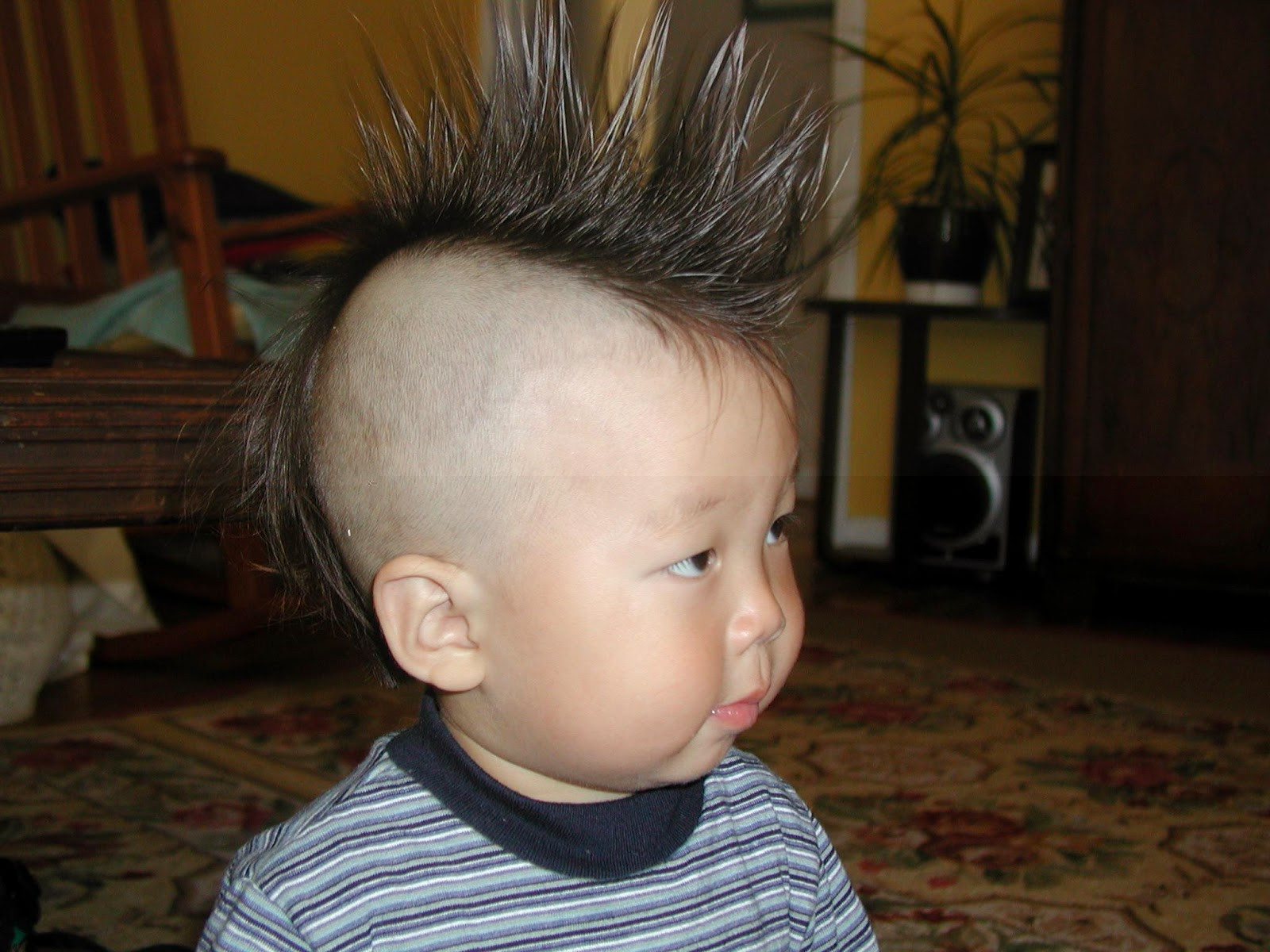 Hairstyles For Kids Boys
 Kids Hairstyle Amazing & Trendy Hairstyles for Boys