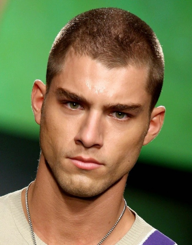 Hairstyles For Males
 Buzz Cut Hairstyle