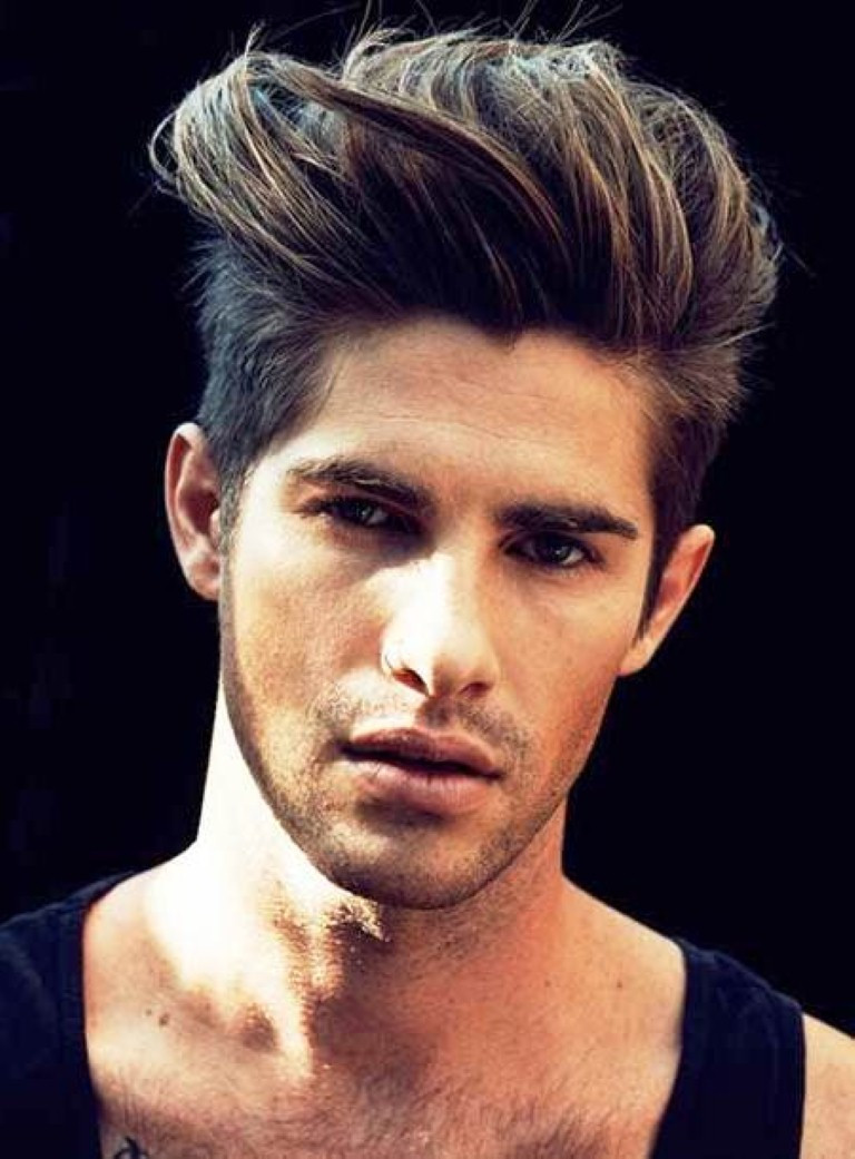 Hairstyles Male
 Puff Hairstyles For Men