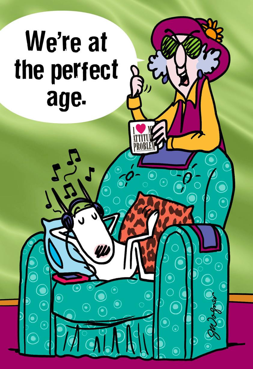 Hallmark Funny Birthday Cards
 Maxine™ The Perfect Age Funny Birthday Card Greeting