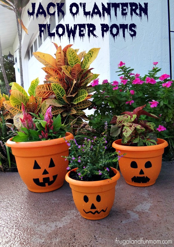 Halloween Flower Pots
 Jack O Lantern Flower Pots An Alternative To Using a