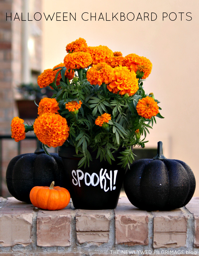 Halloween Flower Pots
 DIY Halloween Chalkboard Pots