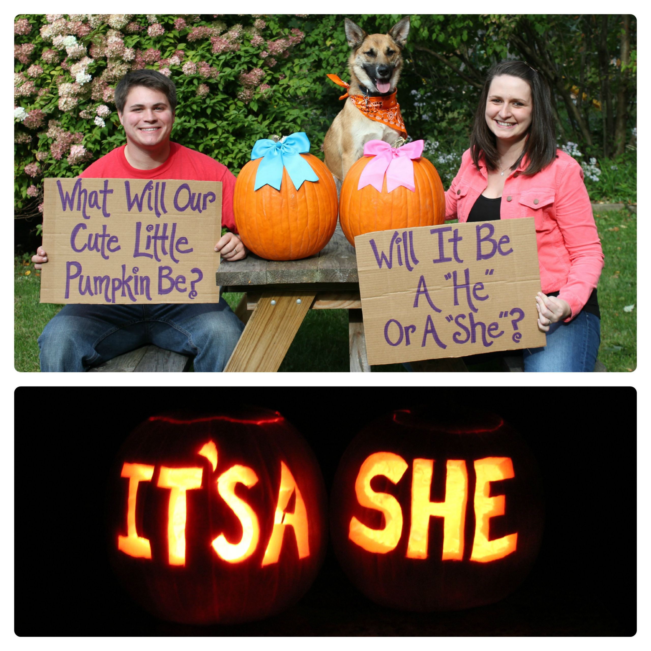 Halloween Gender Reveal Party Ideas
 baby gender reveal idea my husband thought of it I