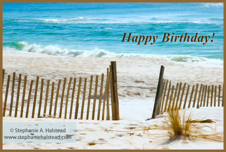Happy Birthday Beach Quotes
 Happy Birthday to You and You and You