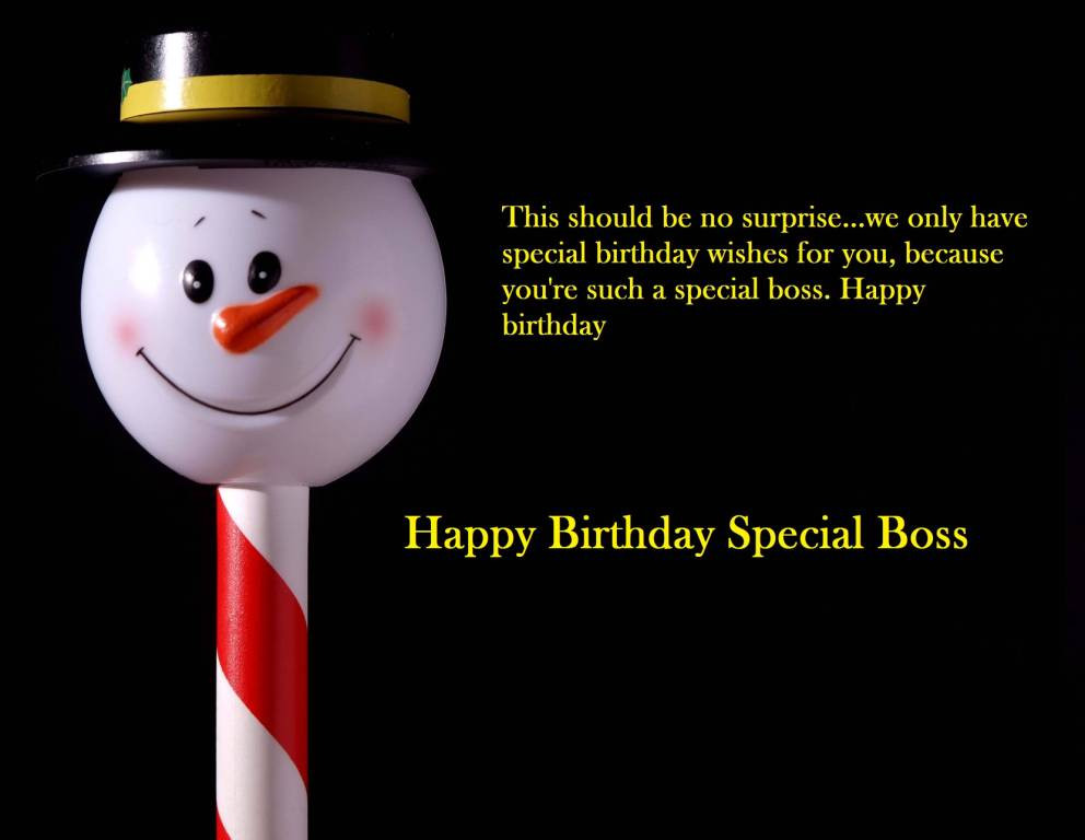 Happy Birthday Boss Quotes Funny
 45 Fabulous Happy Birthday Wishes For Boss Image Meme