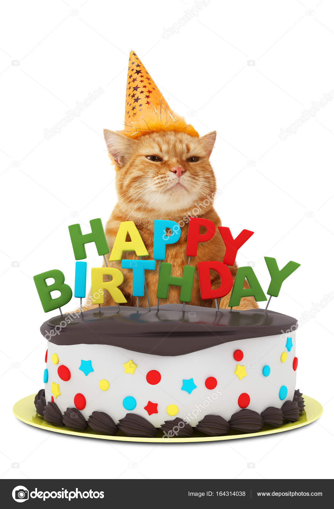 Happy Birthday Cake Funny
 Birthday funny cat