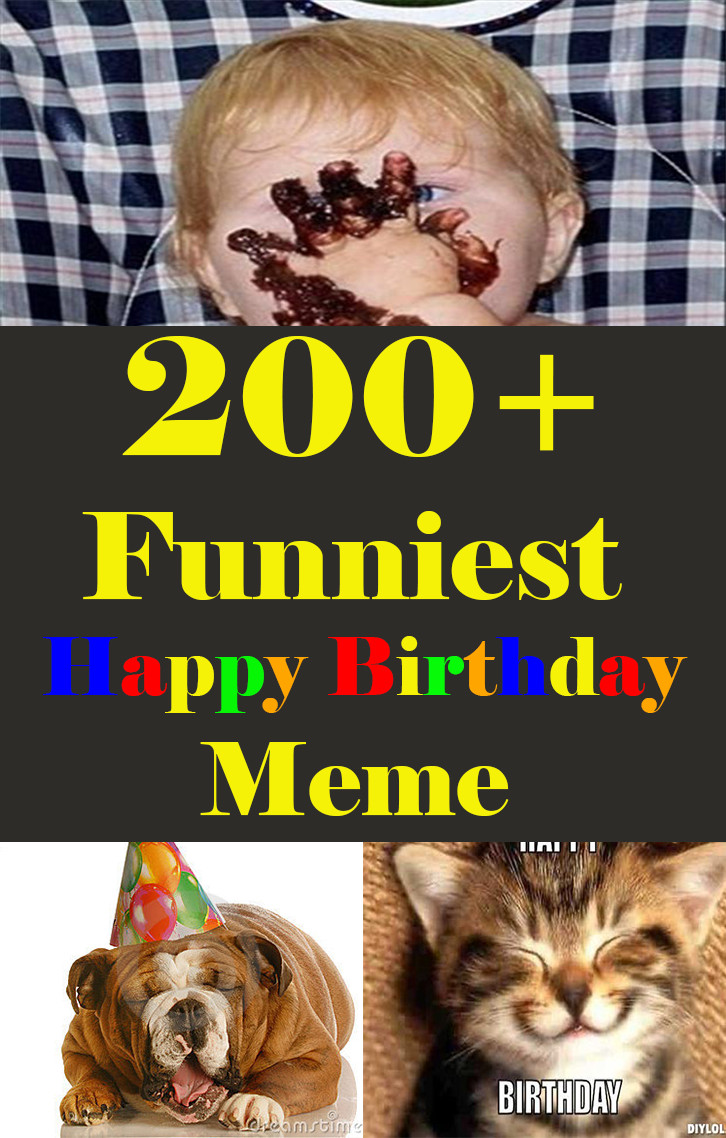Happy Birthday Funny Meme
 200 Funniest Birthday Memes for you Top Collections