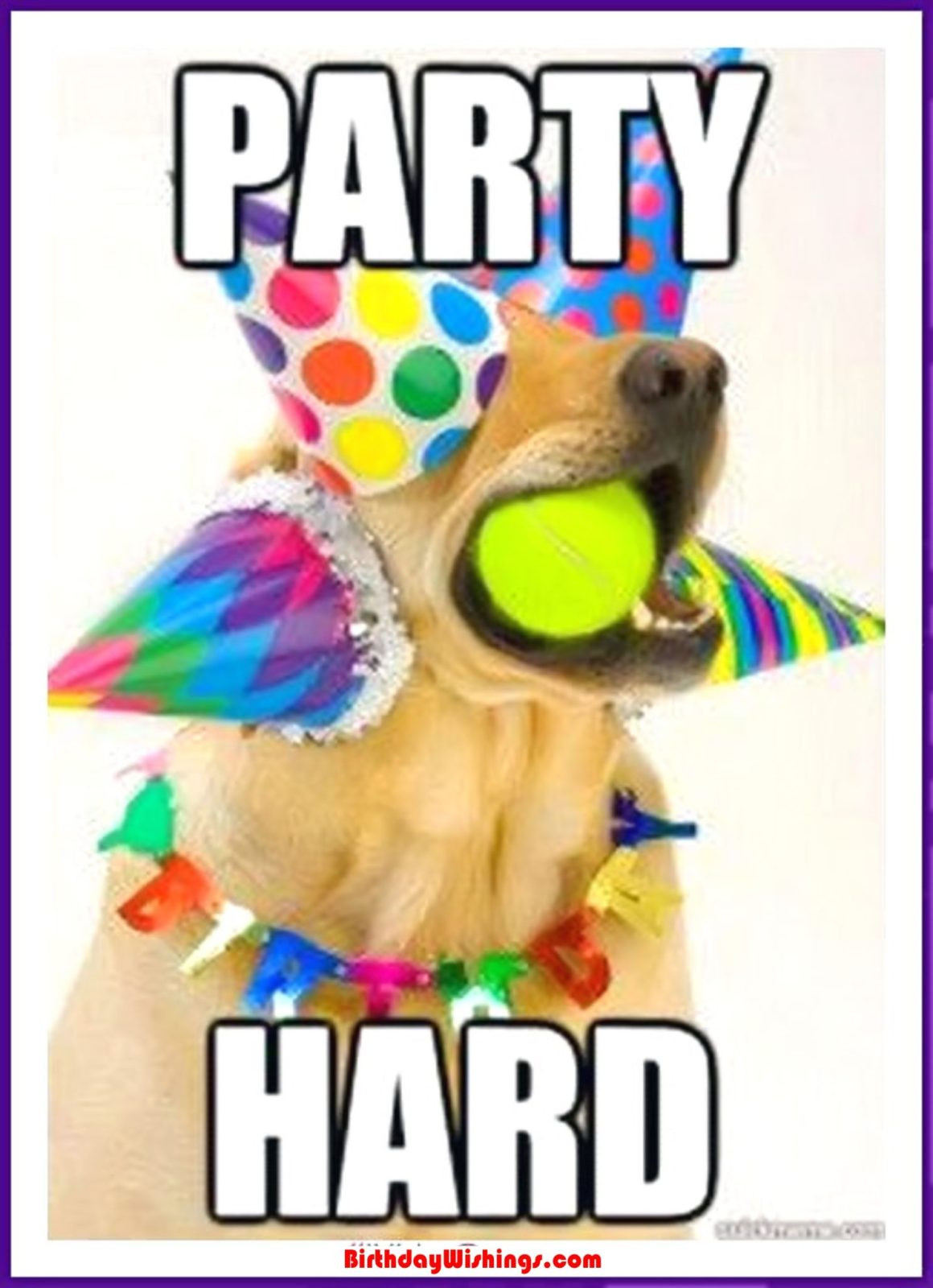 Happy Birthday Funny Meme
 Funny Happy Birthday Memes With cats Dogs & Funny Animals