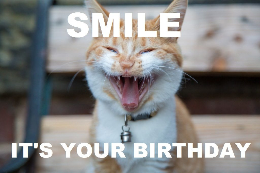 Happy Birthday Funny Meme
 Happy Birthday Memes and Funny Messages
