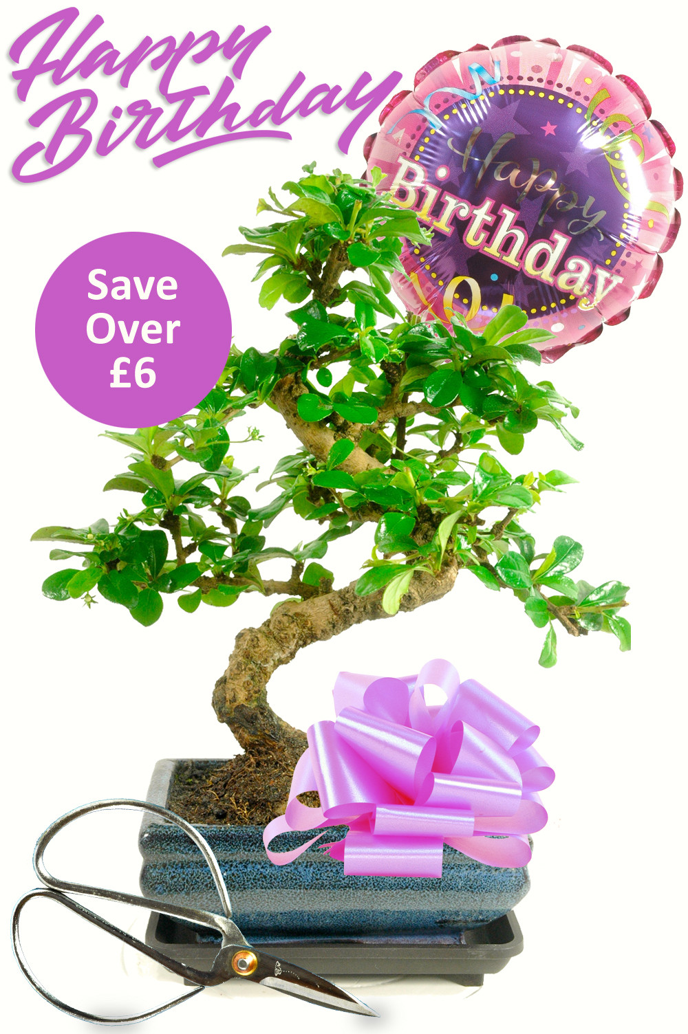 Happy Birthday Gifts For Her
 Stunning Flowering Twisty Happy Birthday Bonsai GIft For Her