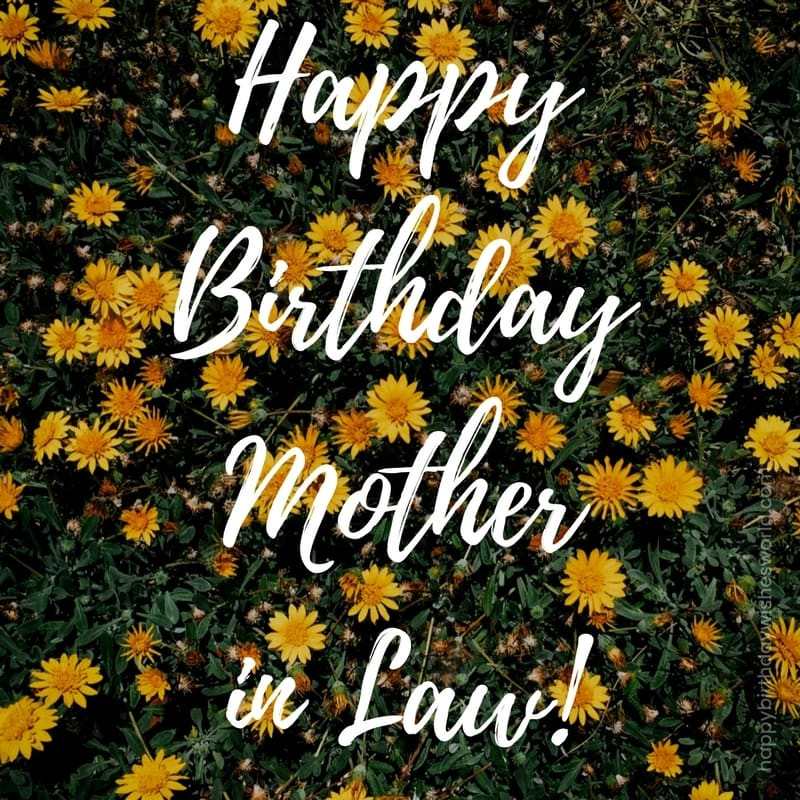 Happy Birthday Wishes For Mother In Law
 120 Happy Birthday Mother in Law Wishes Find the perfect