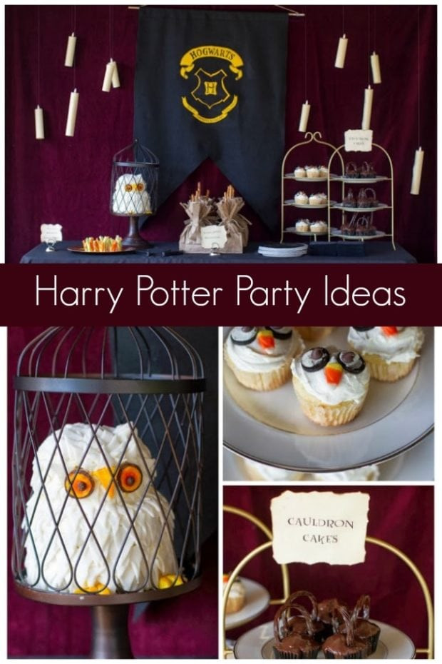 Harry Potter Birthday Party Ideas
 Unique Harry Potter Birthday Party Ideas