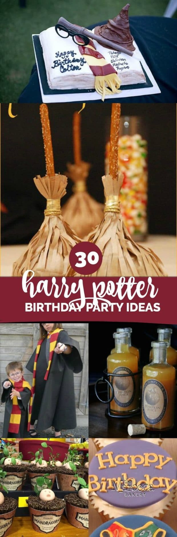 Harry Potter Birthday Party Ideas
 30 Magical Harry Potter Party Ideas Spaceships and Laser
