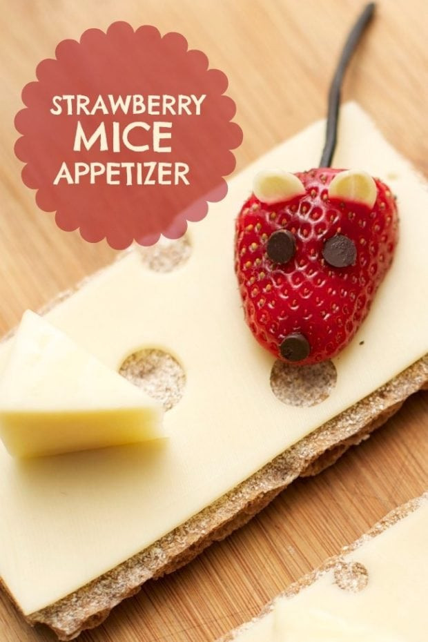 Healthy Appetizers For Kids
 Easy Kid s Party Food Strawberry Mice Appetizer