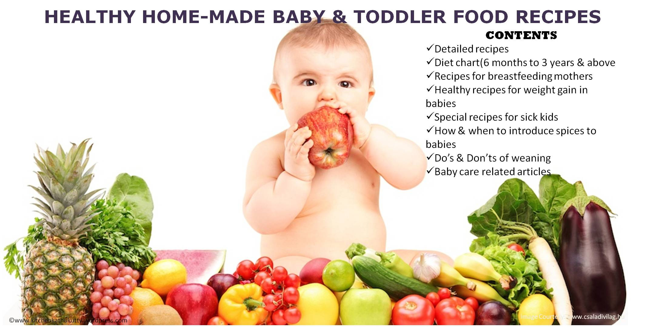 Healthy Baby Recipes
 HEALTHY HOME MADE BABY & TODDLER FOOD RECIPES – KITCHEN