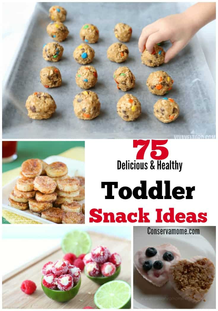 Healthy Baby Snacks
 ConservaMom 75 Delicious & Healthy Toddler Snack Ideas