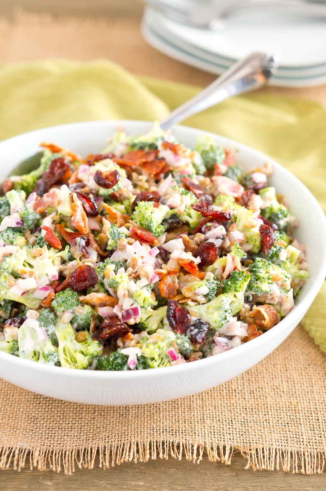Healthy Broccoli Salad Recipe
 Best Broccoli Salad Recipe