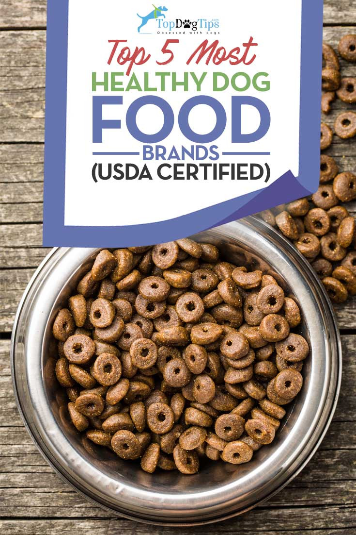 Healthy Dog Snacks
 Top 5 Most Healthy Dog Food Brands in 2017 USDA Organic