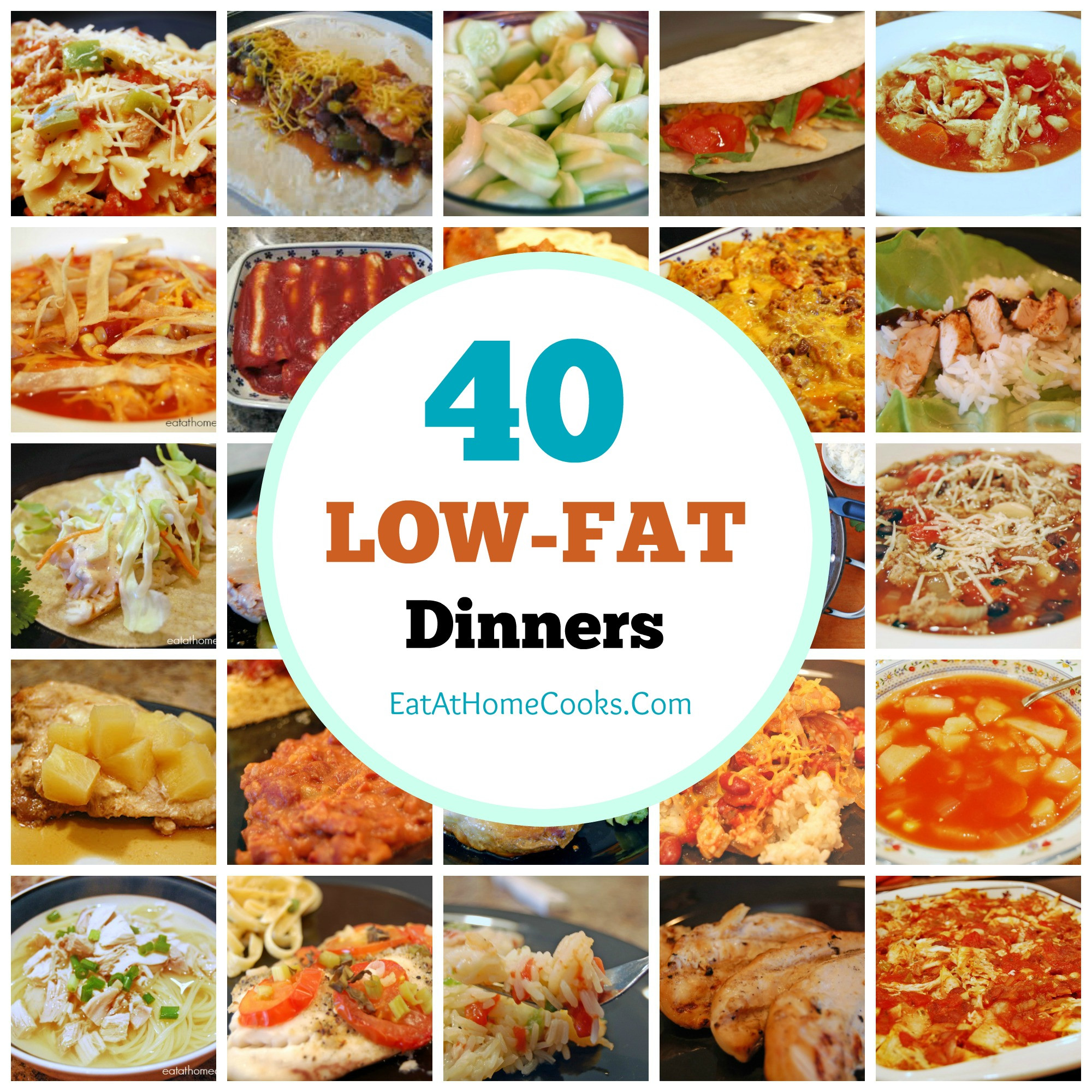 Healthy Low Cholesterol Recipes
 My Big Fat List of 40 Low Fat Recipes Eat at Home