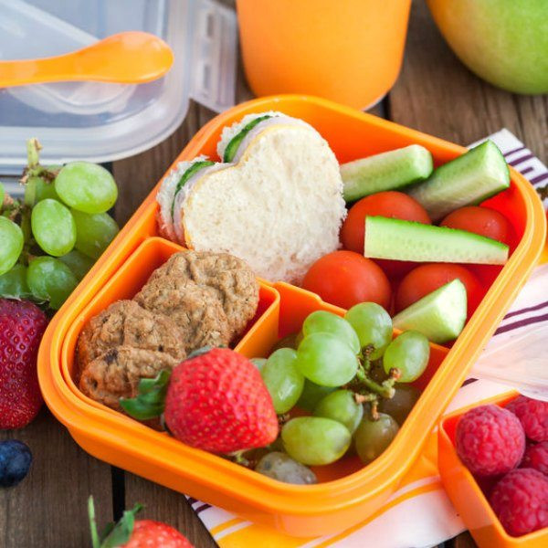 Healthy Packed Lunches For Kids
 How to Pack Healthy Lunches for Kids Eating on a Dime