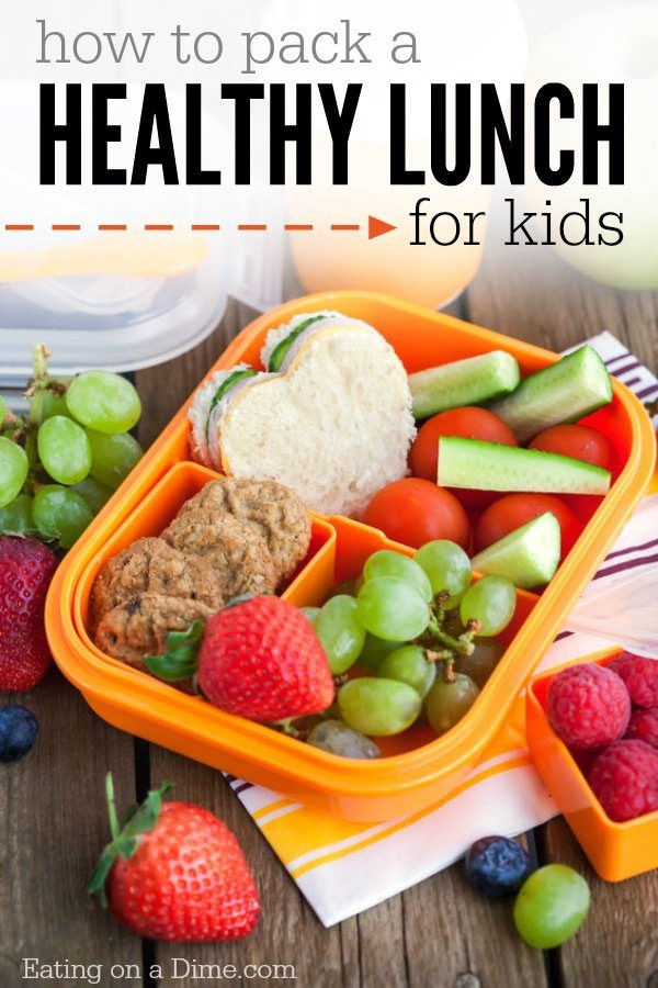 Healthy Packed Lunches For Kids
 How to Pack Healthy Lunches for Kids Eating on a Dime