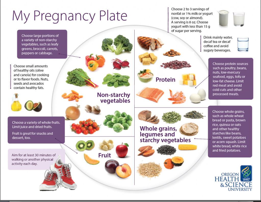 Healthy Snacks While Pregnant
 ‘My Pregnancy Plate a blueprint for healthy eating