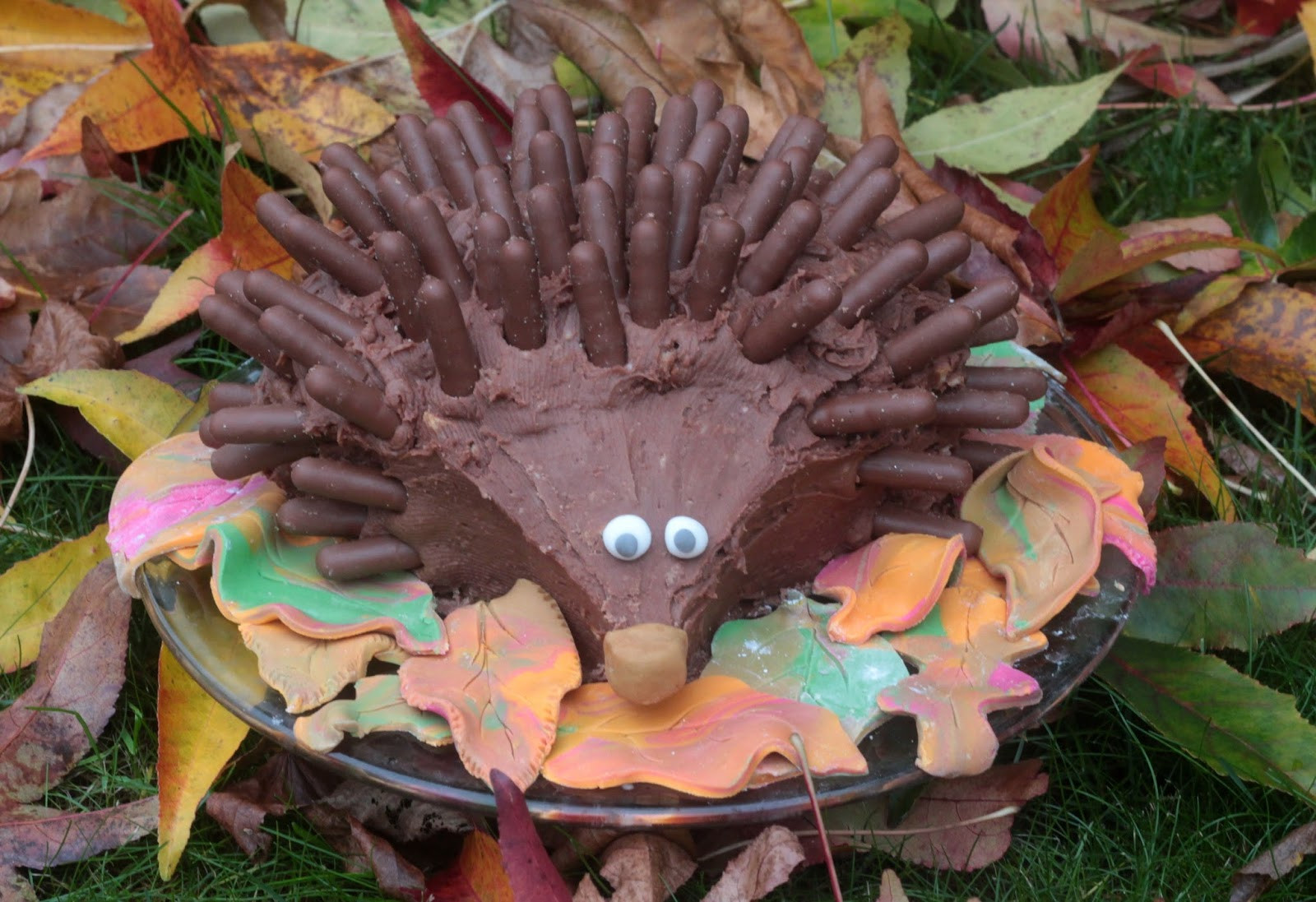 Hedgehog Birthday Cake
 Hedgehog Birthday Cake Using Cadbury Chocolate Fingers