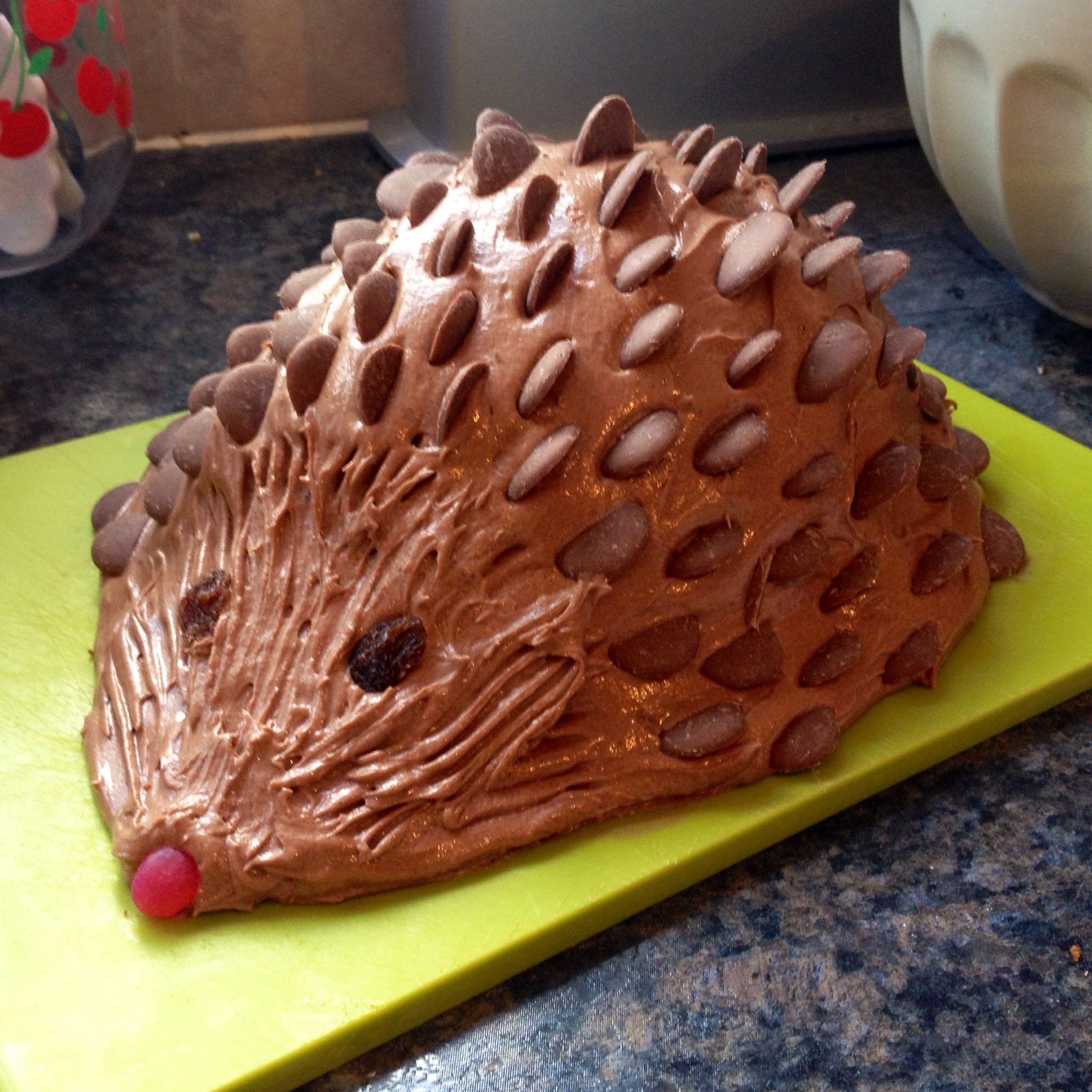 Hedgehog Birthday Cake
 Chocolate Harriet Hedgehog birthday cake