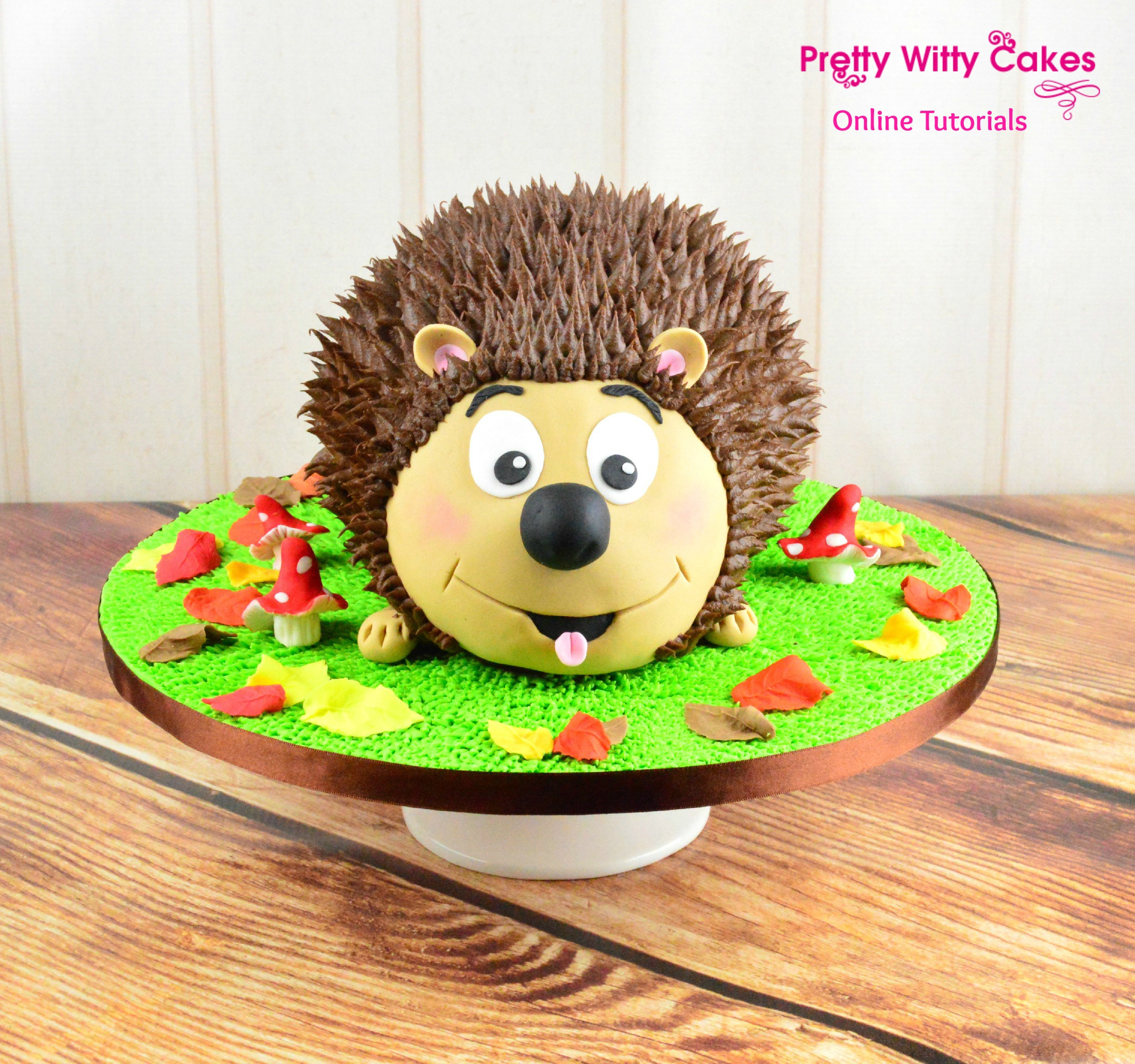 Hedgehog Birthday Cake
 Hedgehog Birthday Cakes