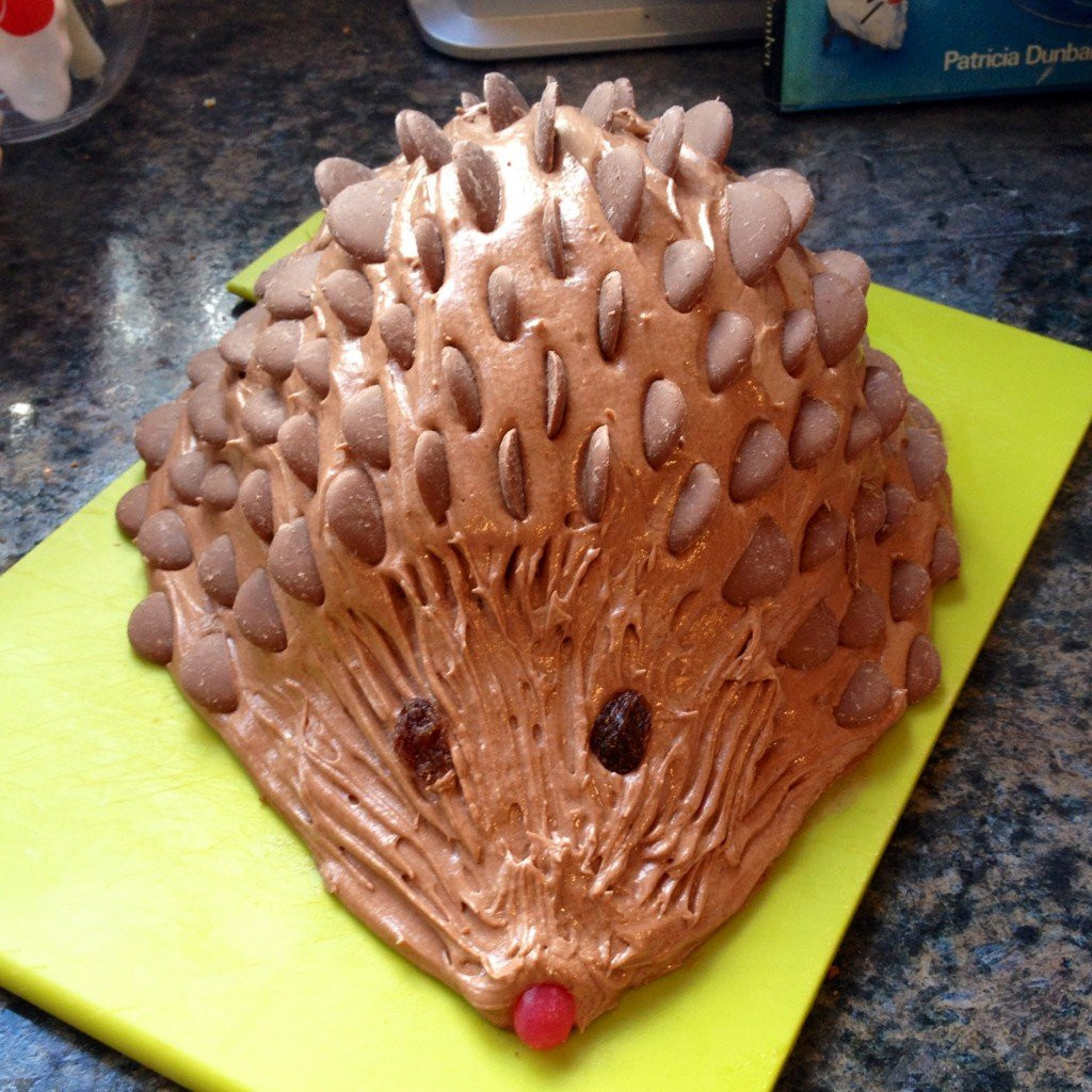 Hedgehog Birthday Cake
 How To Make A Chocolate Hedgehog Cake