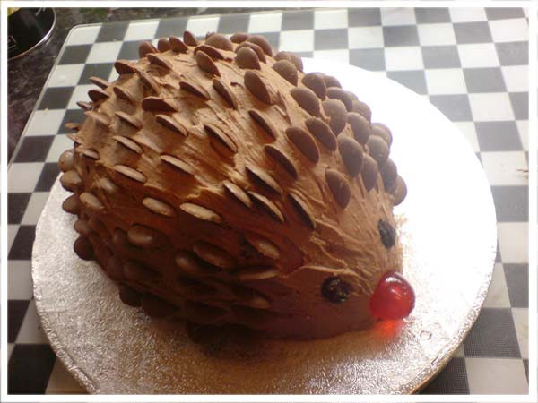 Hedgehog Birthday Cake
 Food for kids birthday party