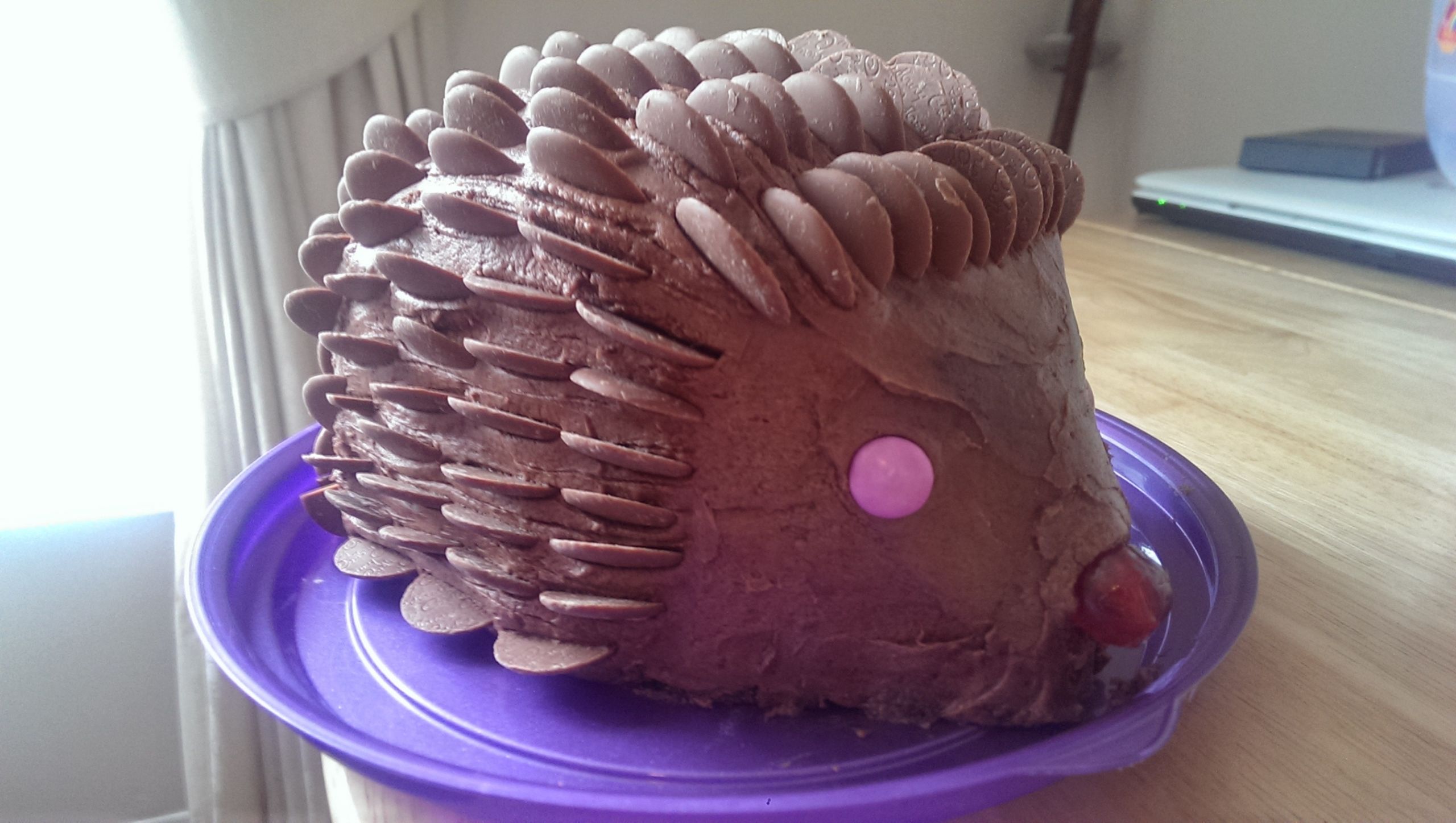 Hedgehog Birthday Cake
 Hedgehog birthday cake recipe