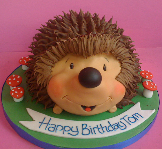 Hedgehog Birthday Cake
 Hedgehog Birthday Cakes