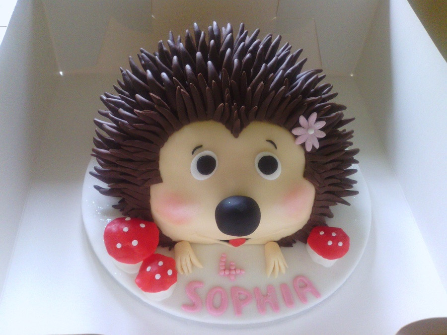 Hedgehog Birthday Cake
 Hedgehog Birthday Cake CakeCentral