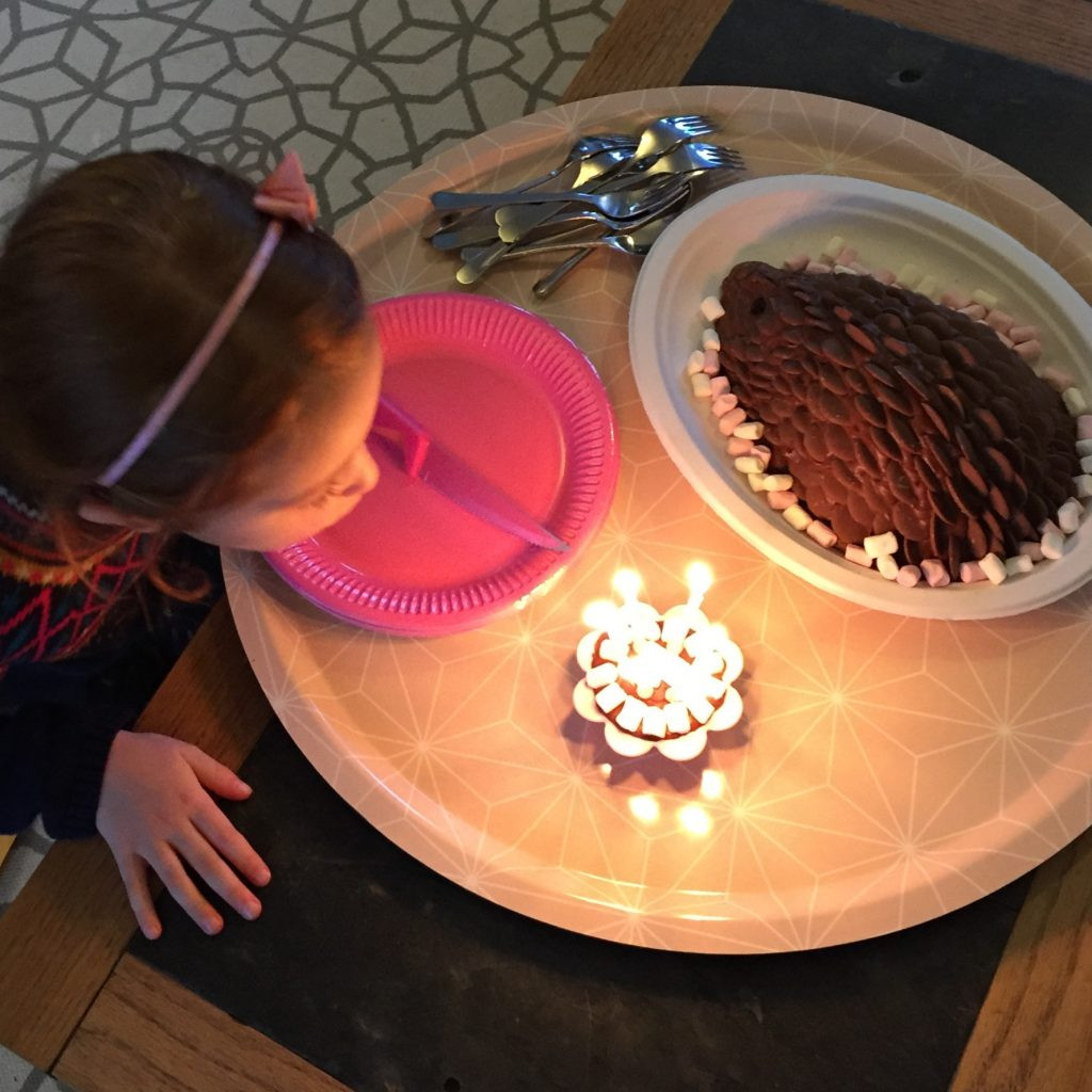 Hedgehog Birthday Cake
 How To Make A Chocolate Hedgehog Cake