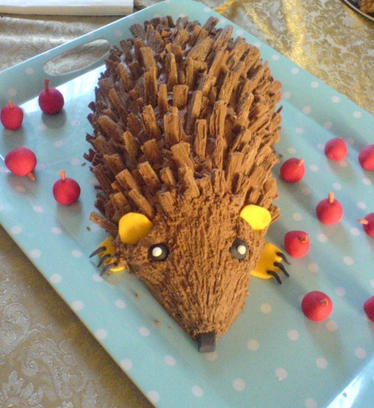 Hedgehog Birthday Cake
 Grazing Kate Chocolate Hedgehog Cake for Son s 10th