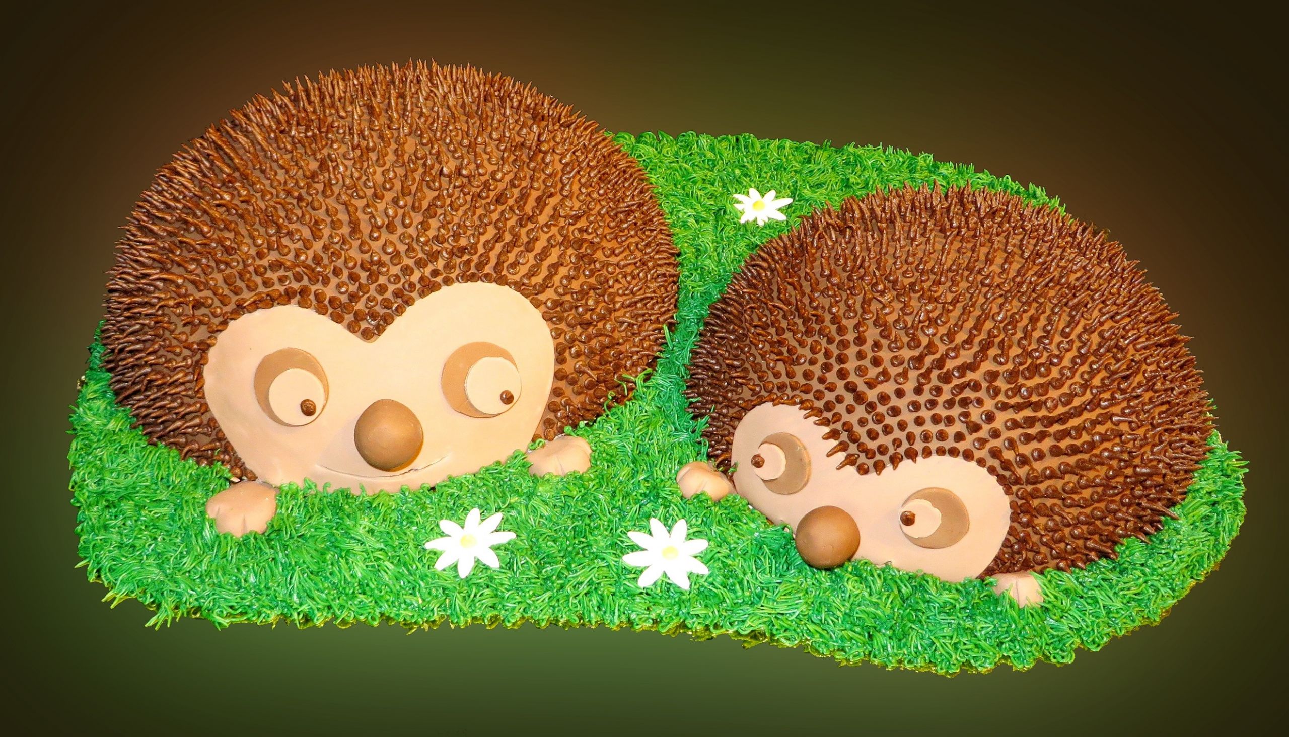 Hedgehog Birthday Cake
 Hedgehog Birthday Cakes