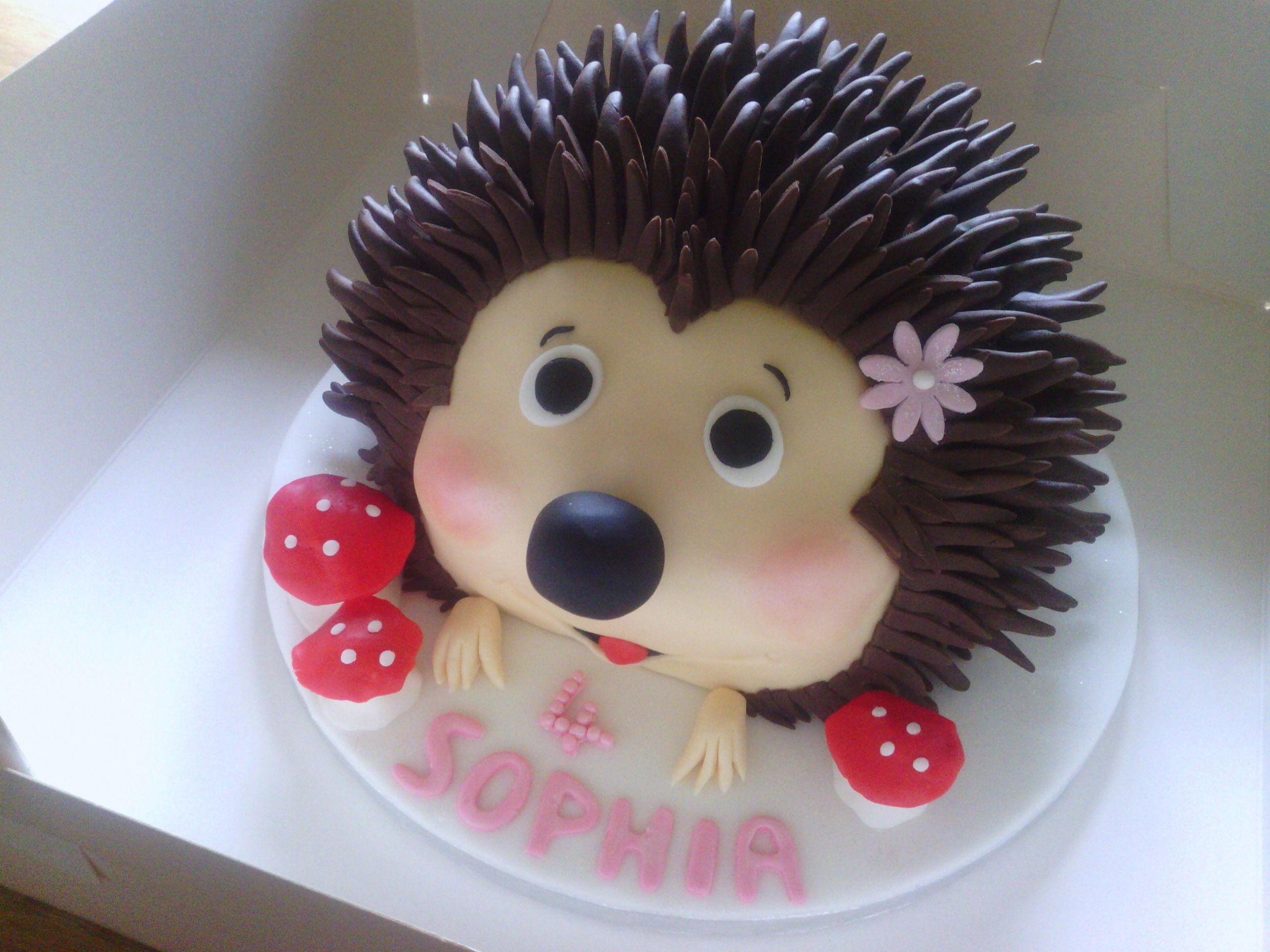 Hedgehog Birthday Cake
 Hedgehog Birthday Cake CakeCentral