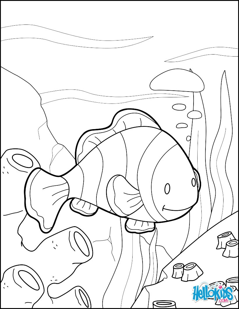 Hellokids Coloring Pages
 Clown fish coloring pages Hellokids