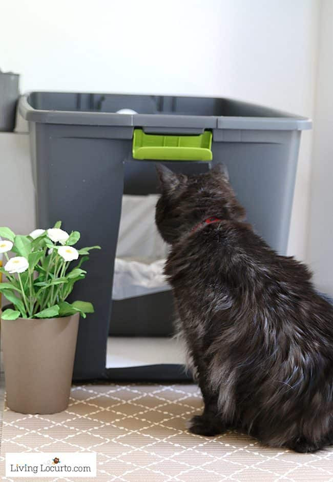 Hidden Cat Litter Box DIY
 Hidden Kitty Litter Box Ideas DIY Cat Litter Holder