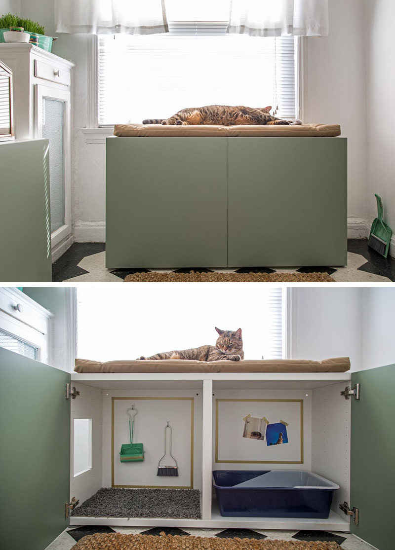 Hidden Cat Litter Box DIY
 10 Ideas For Hiding Your Cat Litter Box
