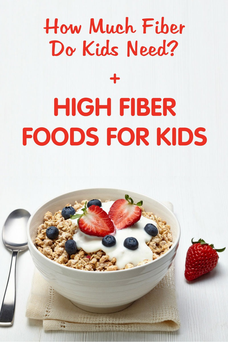 High Fiber Recipes For Toddlers
 20 Best High Fiber Recipes for toddlers Best Diet and