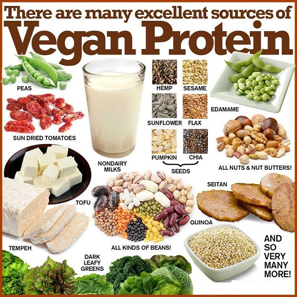 High Protein Vegetarian Snacks
 Vegan Essentials Where do Vegans protein The