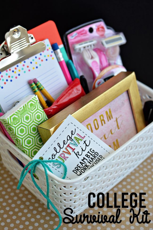 High School Graduation Gift Ideas For Friends
 College Survival Kit