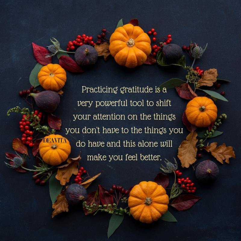 Holidays Thanksgiving Quotes
 Thanksgiving quotes and greeting cards with holiday wishes