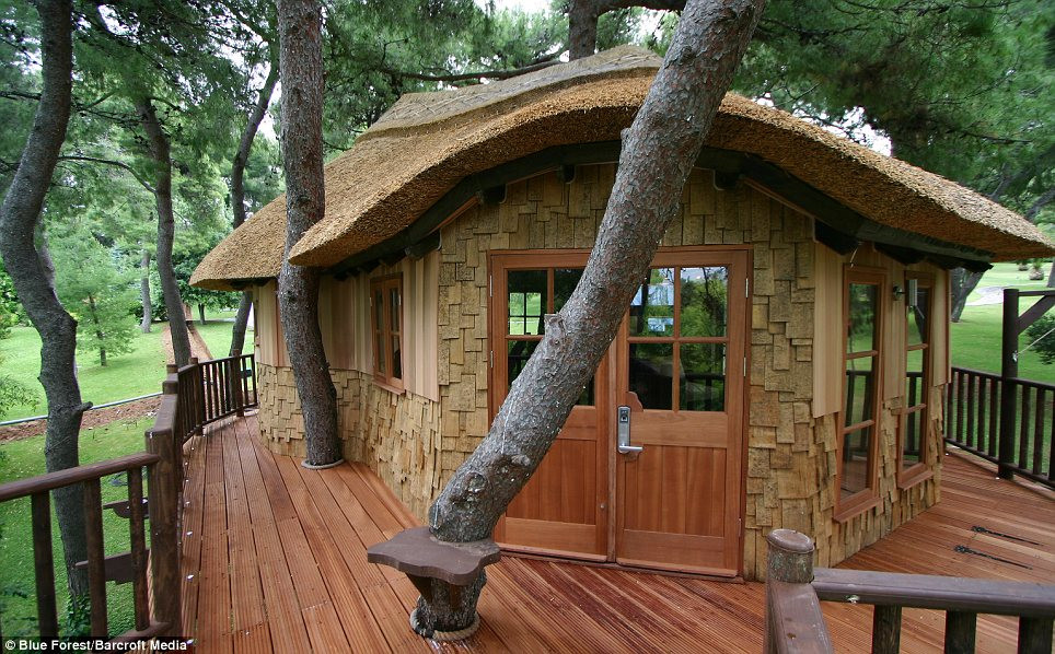 Home For Adults
 VWVortex Adult tree houses