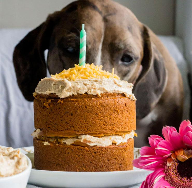 Homemade Dog Birthday Cake
 14 Dog Birthday Cake & Cupcake Homemade Recipes