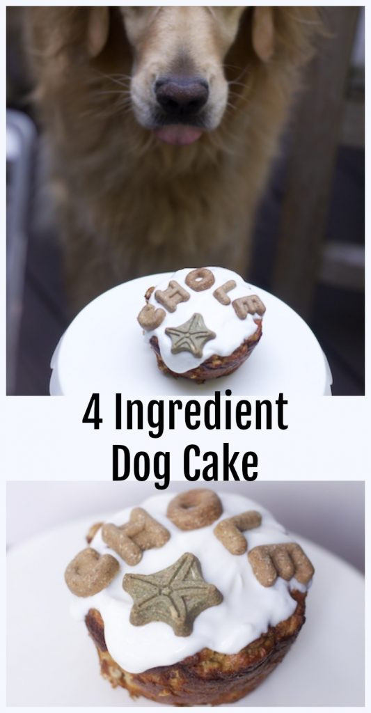 Homemade Dog Birthday Cake
 The Easiest Dog Birthday Cake Recipe for a Dog Birthday