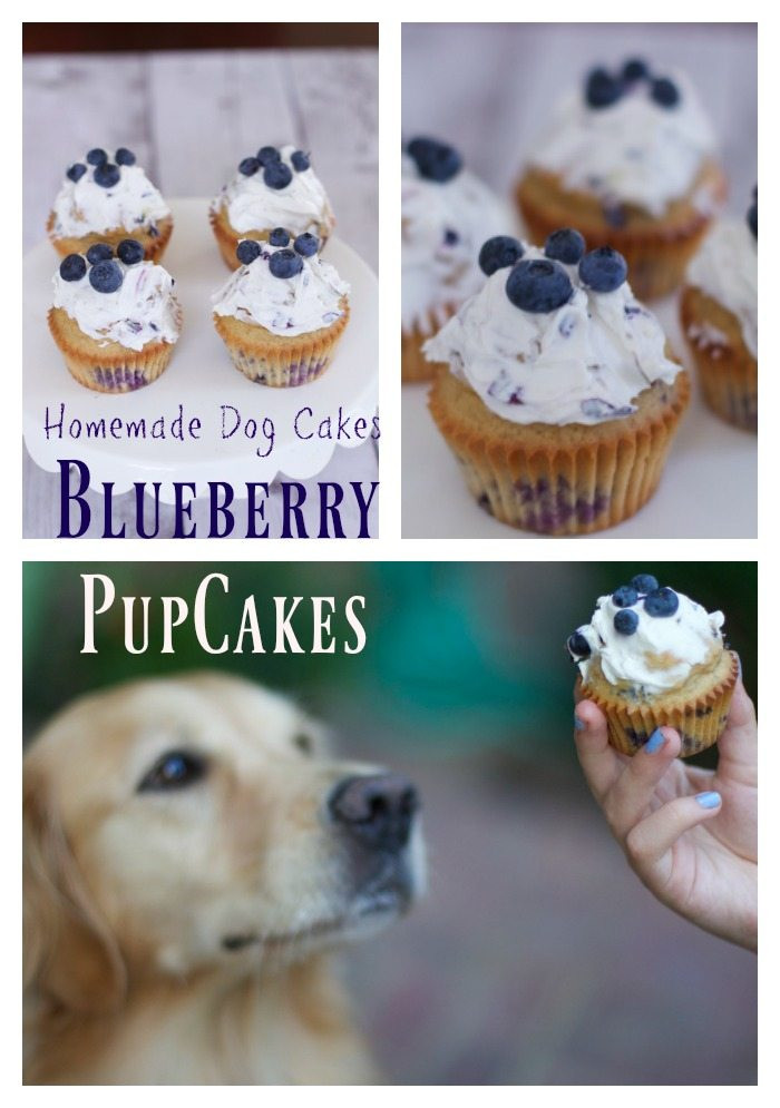 Homemade Dog Birthday Cake
 Simple Homemade Dog Cake Recipe Blueberry Pupcakes